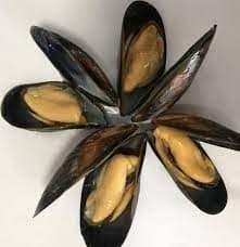 midyeboru kurdu, canlı boru kurdu, deniz yemleri, canlı balık yemi, kıyı balıkçılığı yemleri, çipura yemi, mırmır yemi, levrek yemi, surfcasting yemleri, taze boru kurdu, hazır olta yemi, dalyan oltacılık, canlı yem sipariş, online balık yemi, deniz solucanı, gece avı yemleri, fosforlu balık yemi, kaliteli canlı yem, eşkina yemi, karagöz yemi